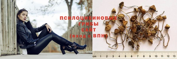 твердый Нягань