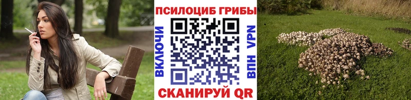 mega рабочий сайт  Лосино-Петровский  Псилоцибиновые грибы Magic Shrooms 