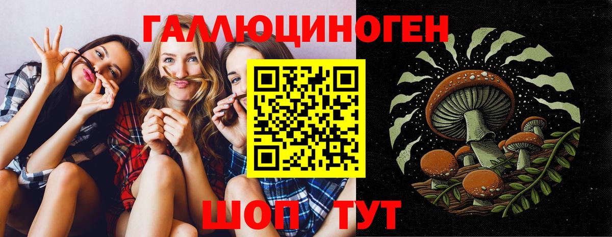 Лосино-Петровский  даркнет сайт  Вход с VPN  Псилоцибиновые грибы Magic Shrooms  Галлюциногенные грибы прущие грибы 