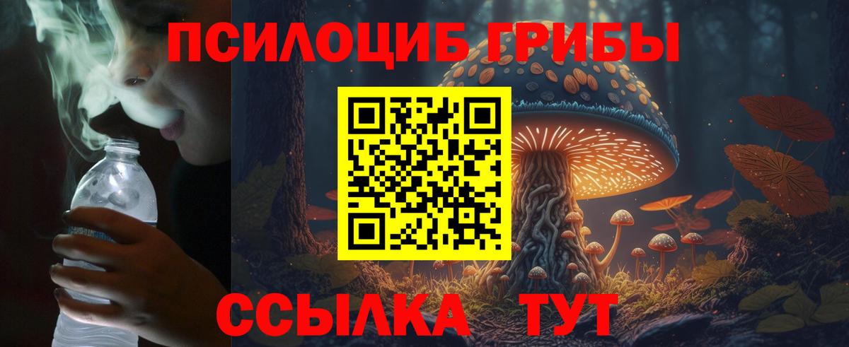 Псилоцибиновые грибы Magic Shrooms Лосино-Петровский