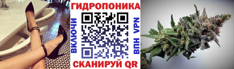 Канабис индика  Лосино-Петровский 