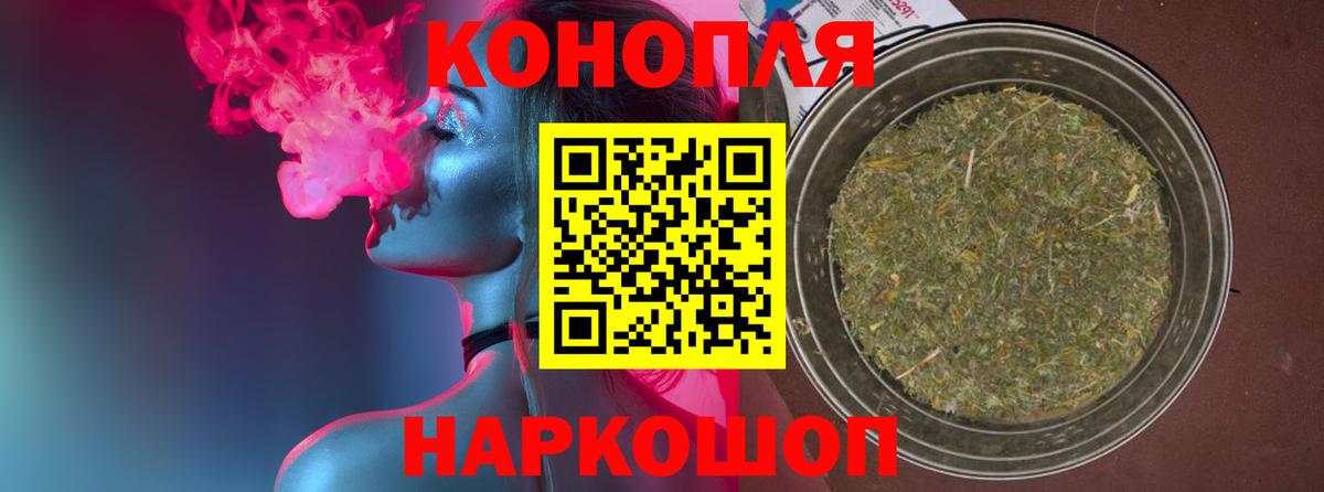 Канабис планчик Лосино-Петровский